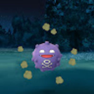 Meet your Posher, Hilda